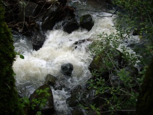 Black Creek today, looking down about a 30 ft. drop.