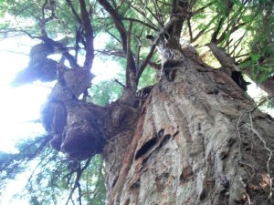 392975_298174556859540_100000009942716_1216788_363200917_n